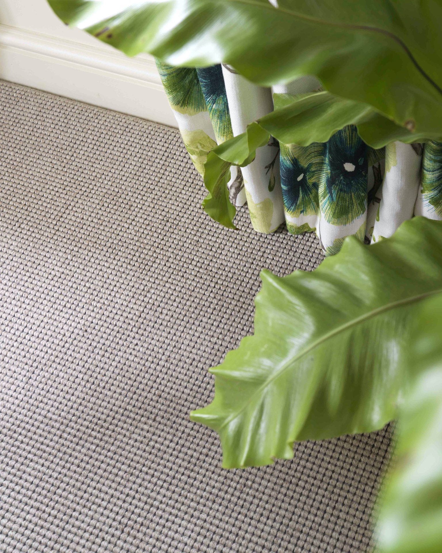 Harrington Quail carpet by Jacaranda b